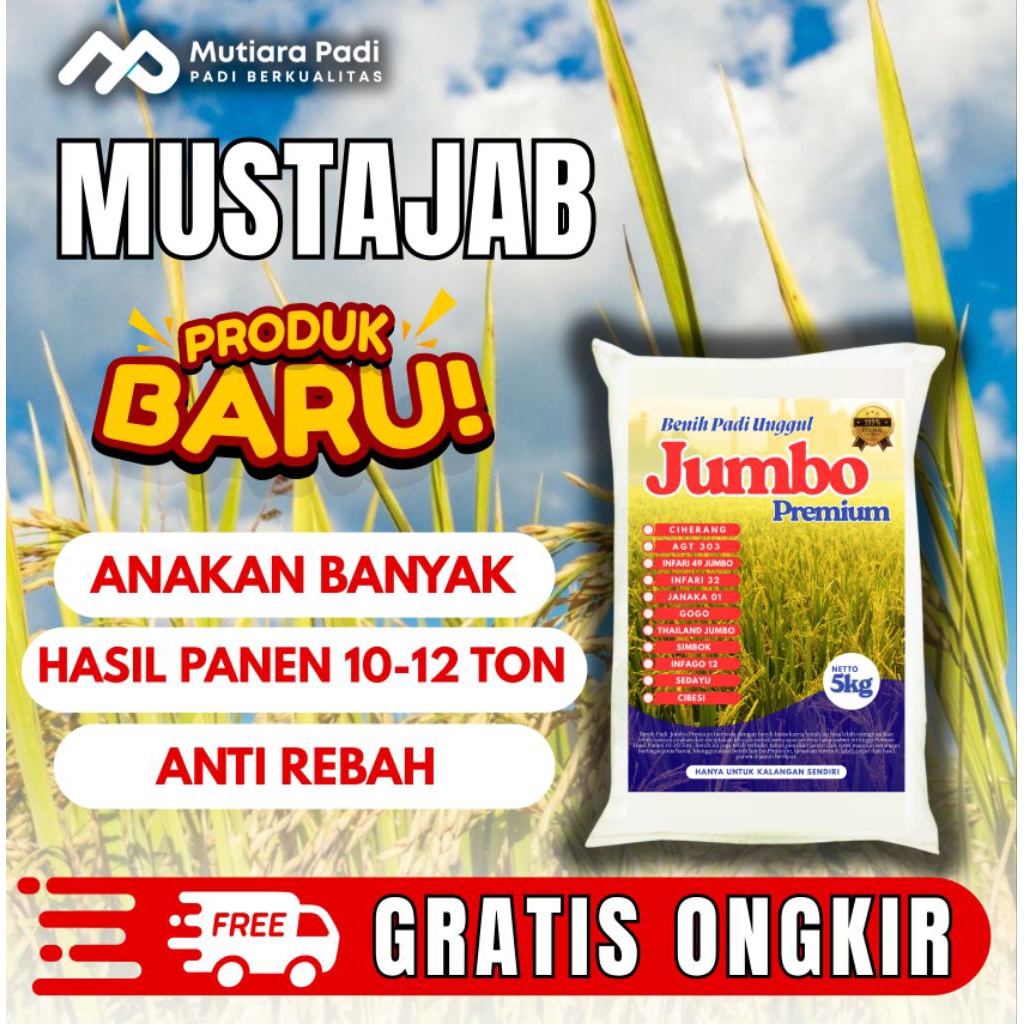 BIBIT PADI UNGGUL BERKUALITAS BENIH PADI MUSTAJAB 5KG