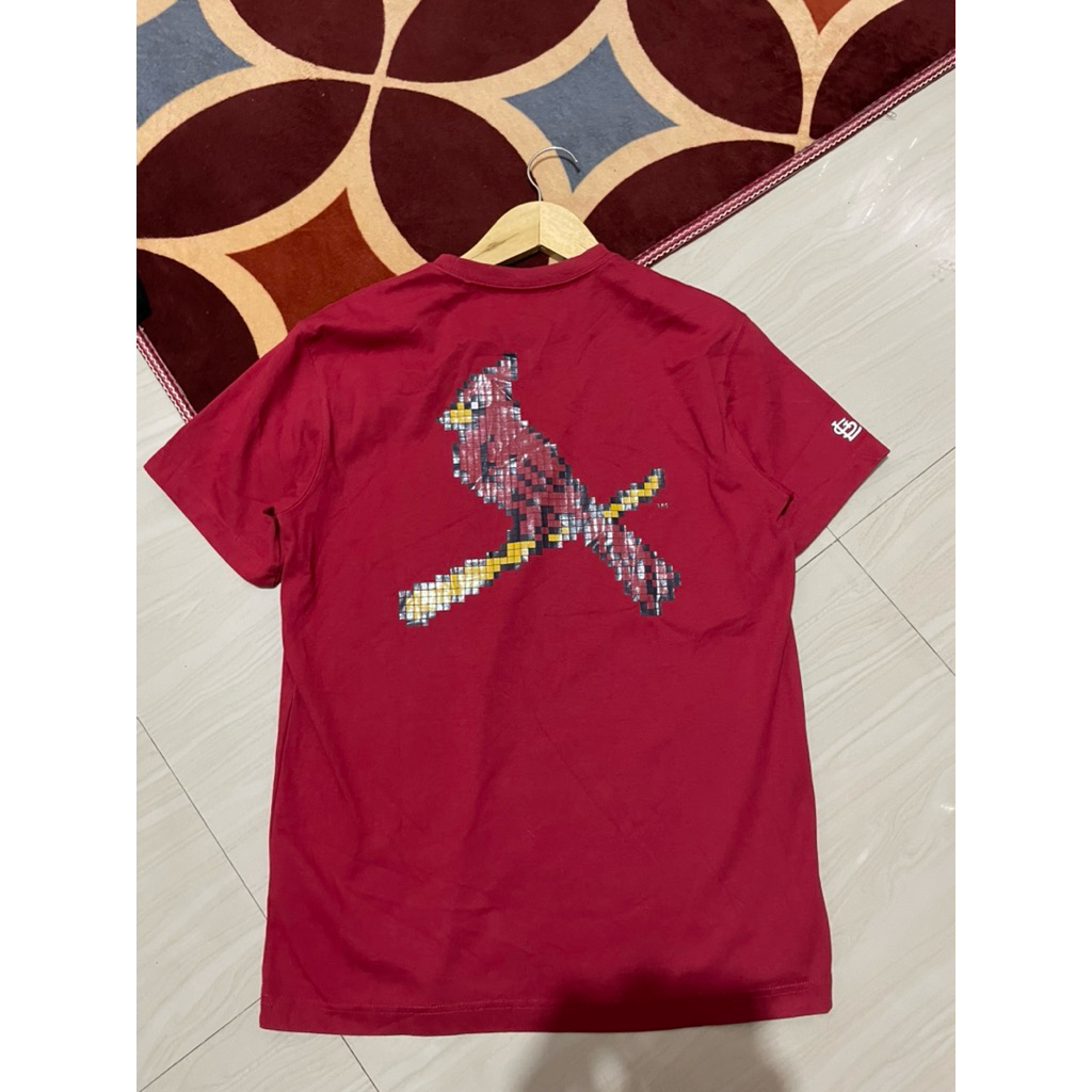 Koas new era sf bird