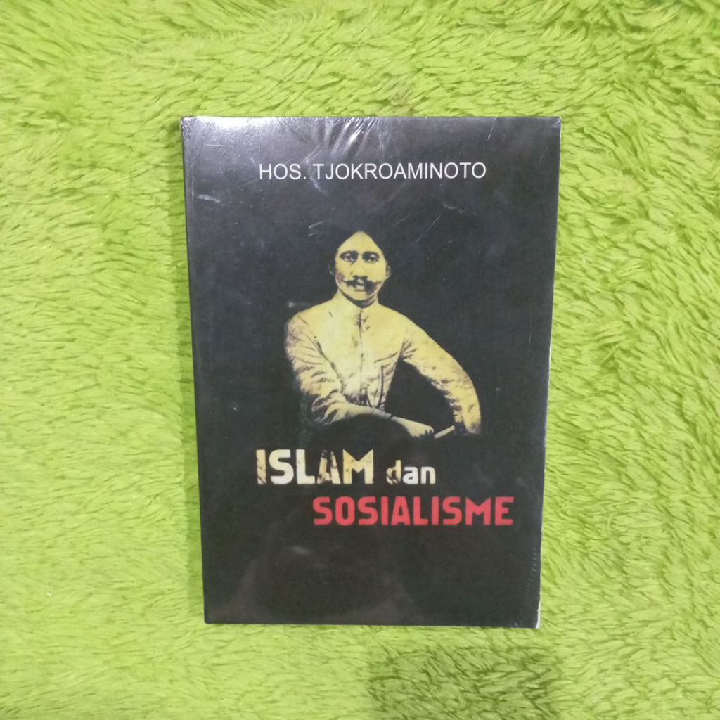 NOVEL SASTRA ISLAM DAN SOSIALISME