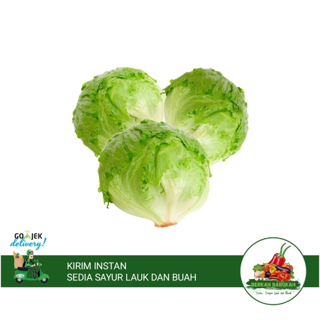 Sayur lettuce / head lettuce 500 gram