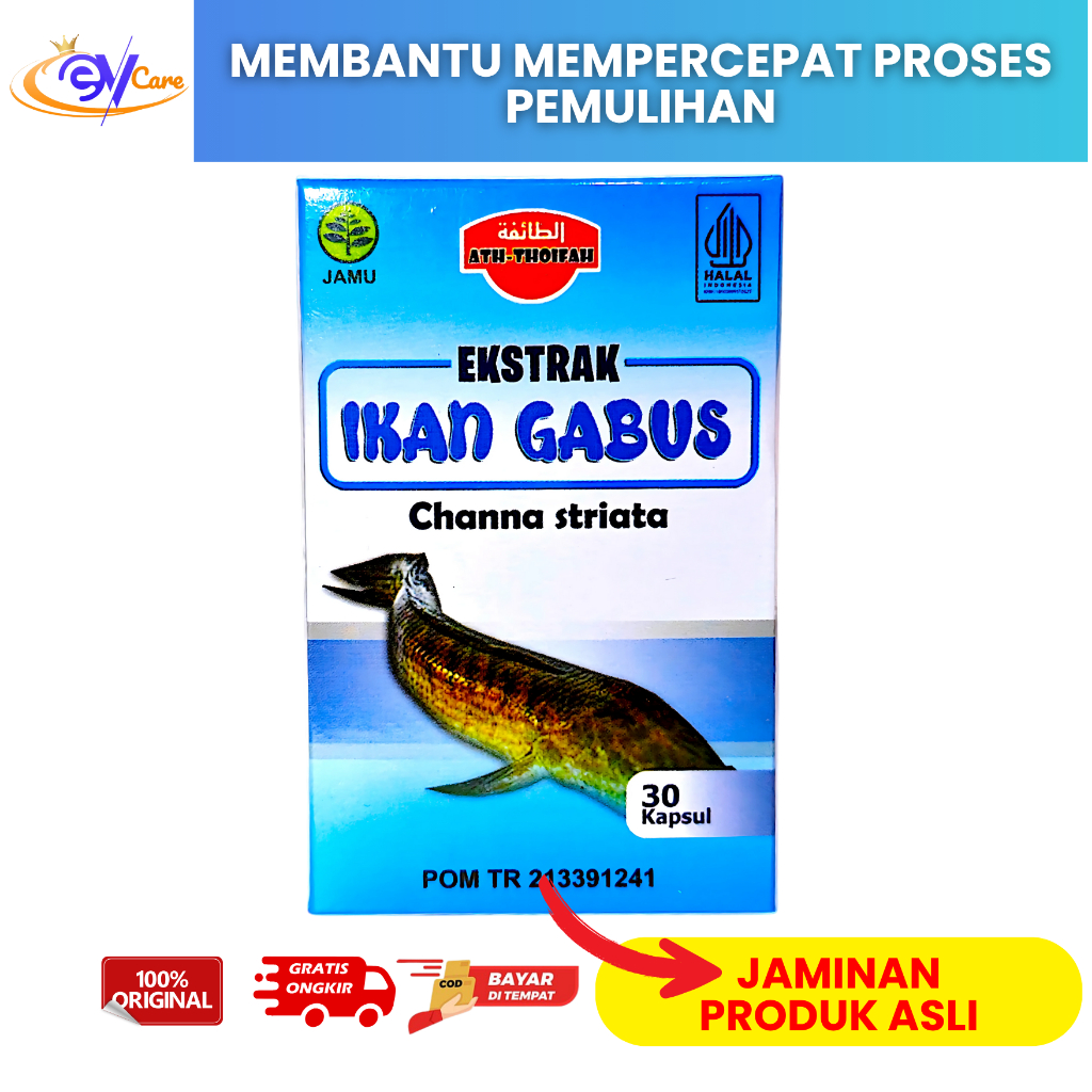 Kapsul Ikan Gabus Albumin Ikan Gabus | Obat Penghilang Bekas Luka & Obat Luka Pasca Operasi