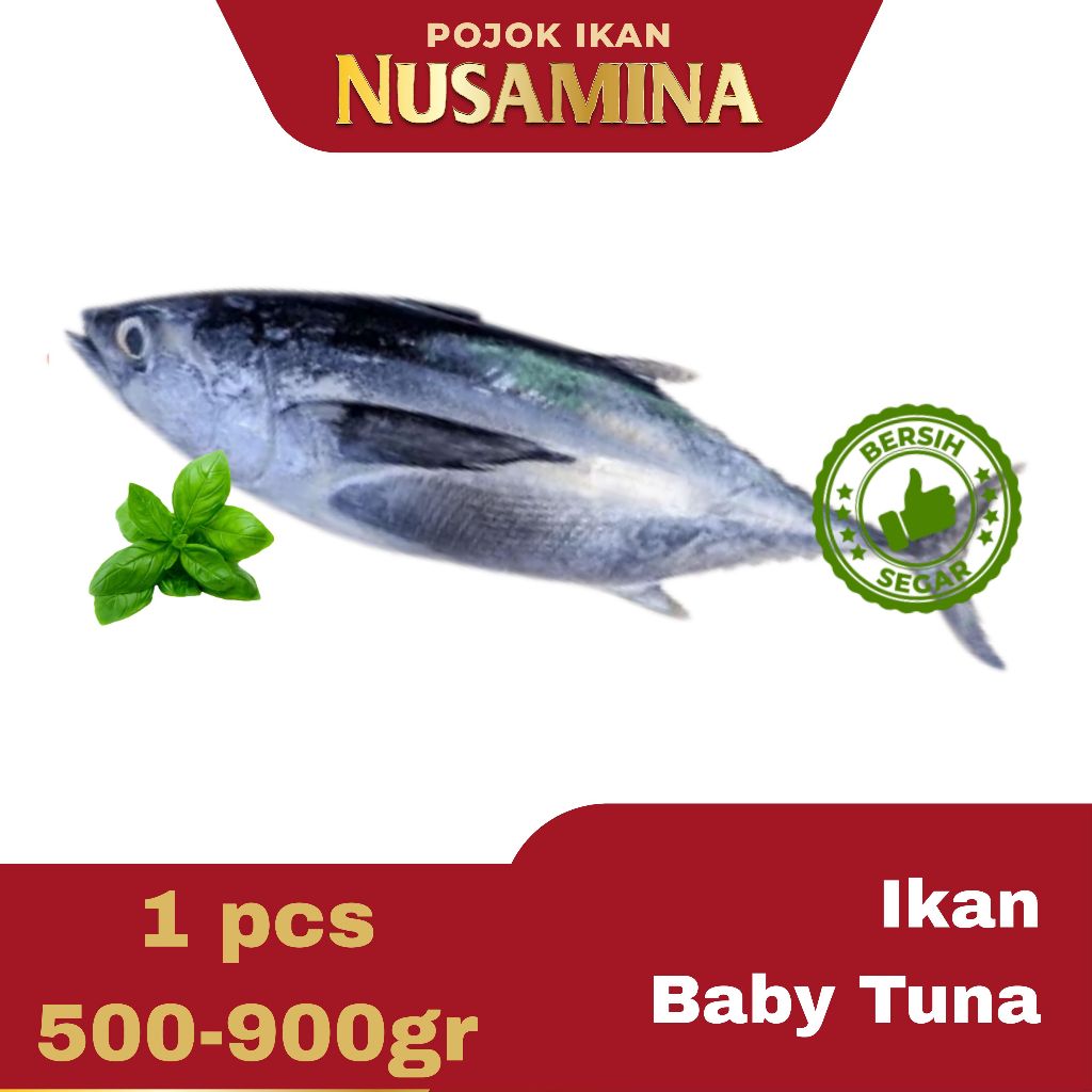 Nusamina Ikan Baby Tuna Yellowfin Utuh Bersih Segar Frozen 1pcs [500-900grm]