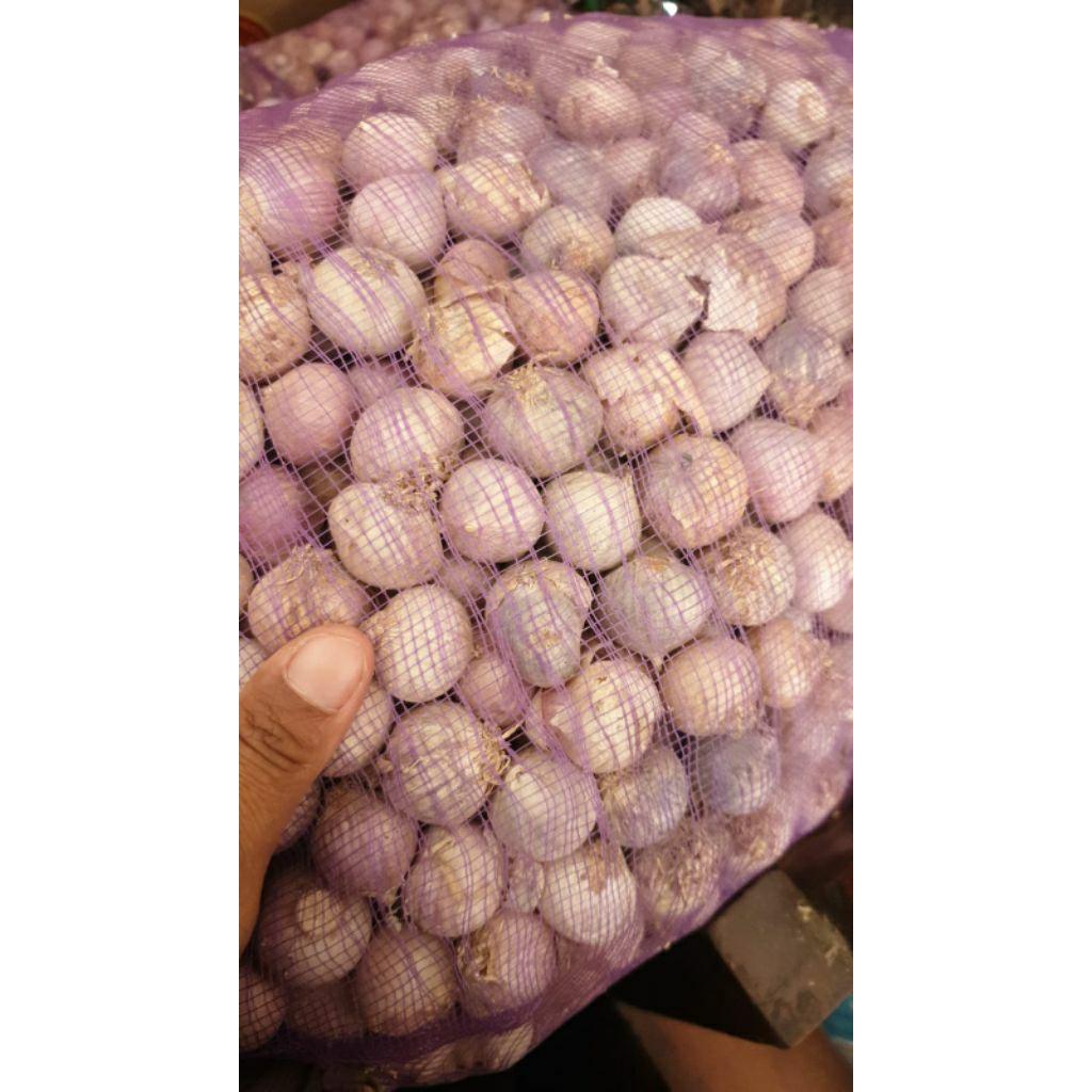 bawang putih tunggal bawang lanang bawang tunggal 1kg