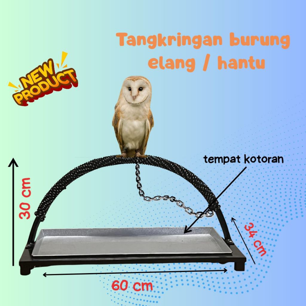 tangkringan burung elang/burung hantu