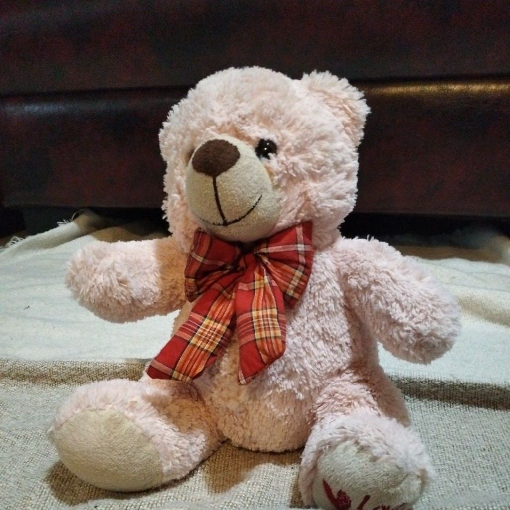 Preloved Boneka Teddy Bear Pink Love You