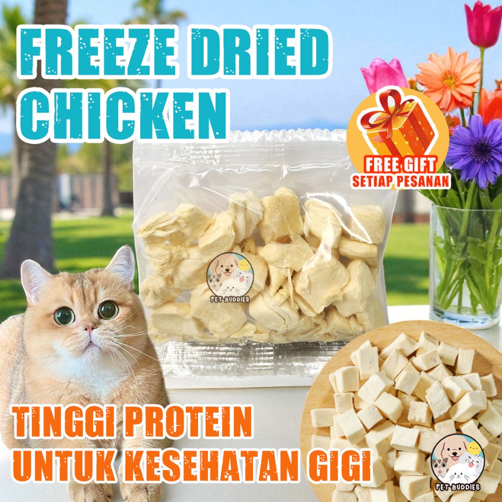 [BEST SELLER] Snack Kucing Freeze Dried Meat Asli Daging Ayam Sapi Bebek | Makanan Tambahan Anabul