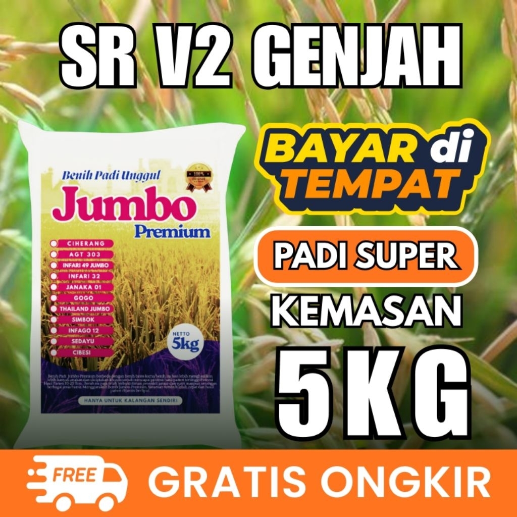 [ AGEN BENIH PADI ] Benih Padi SR V2 Genjah 5kg