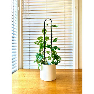 Besi penyangga tanaman, dekorasi taman