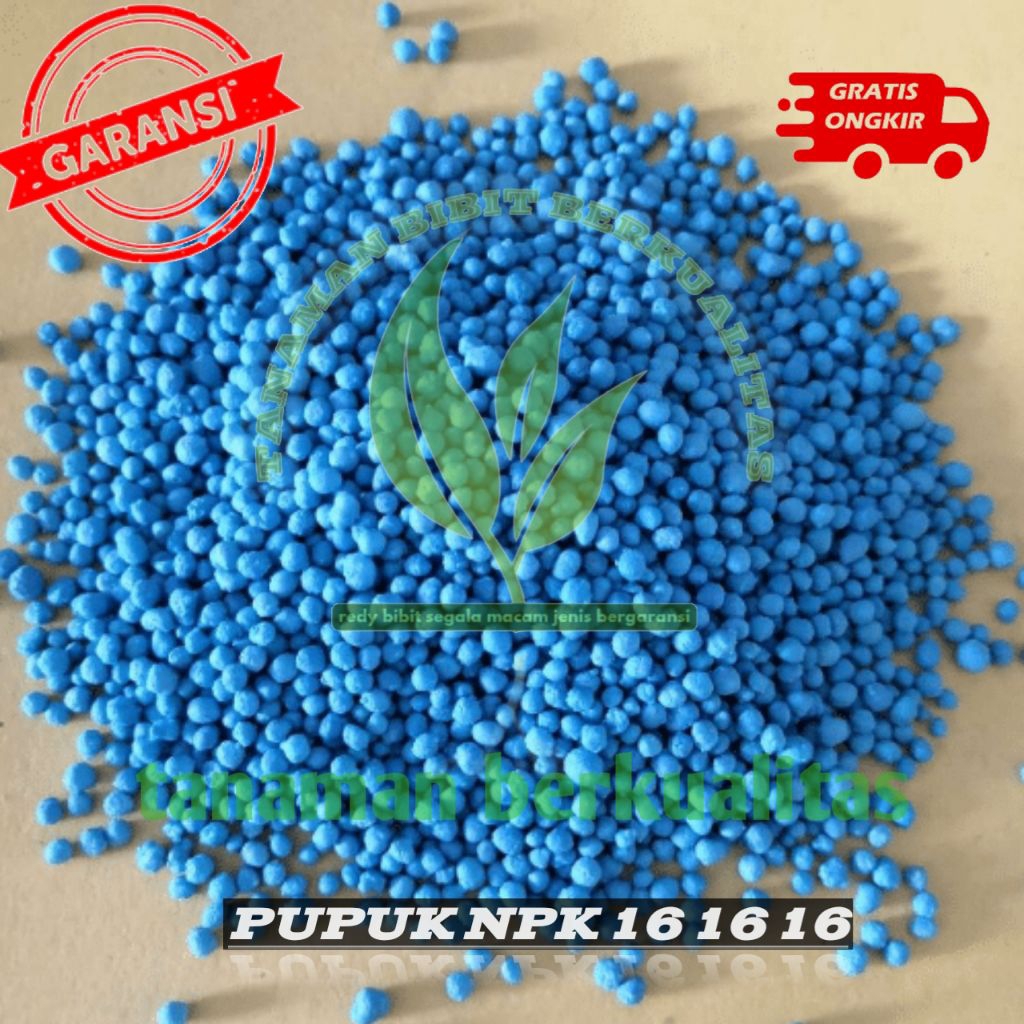 PUPUK/RABUK npk 16 16 16 dapat membantu menyubur kan tanaman dan mempercepat pembuahan (100 G)