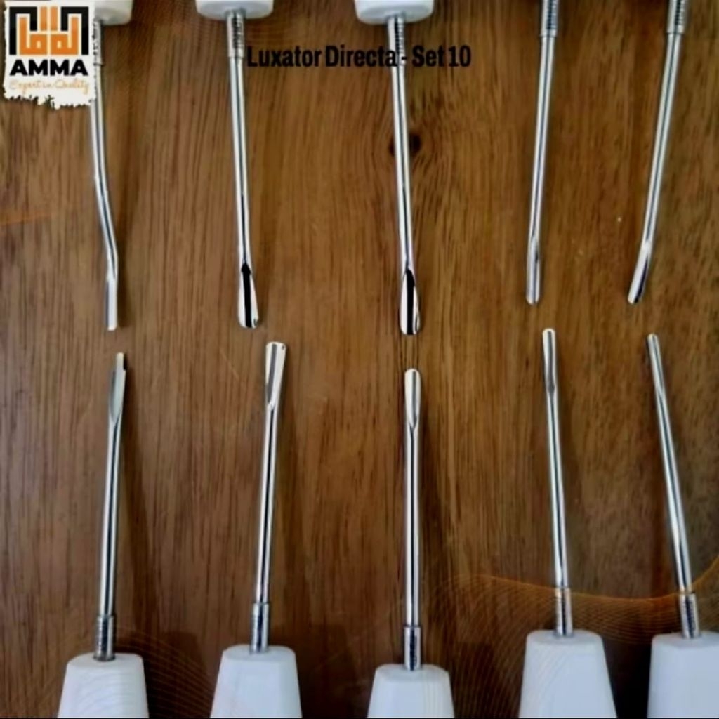 Dental Luxator Bein Root Elevator Merc Amma Sudah AKL Alat pencabut gigi Luxator Directa