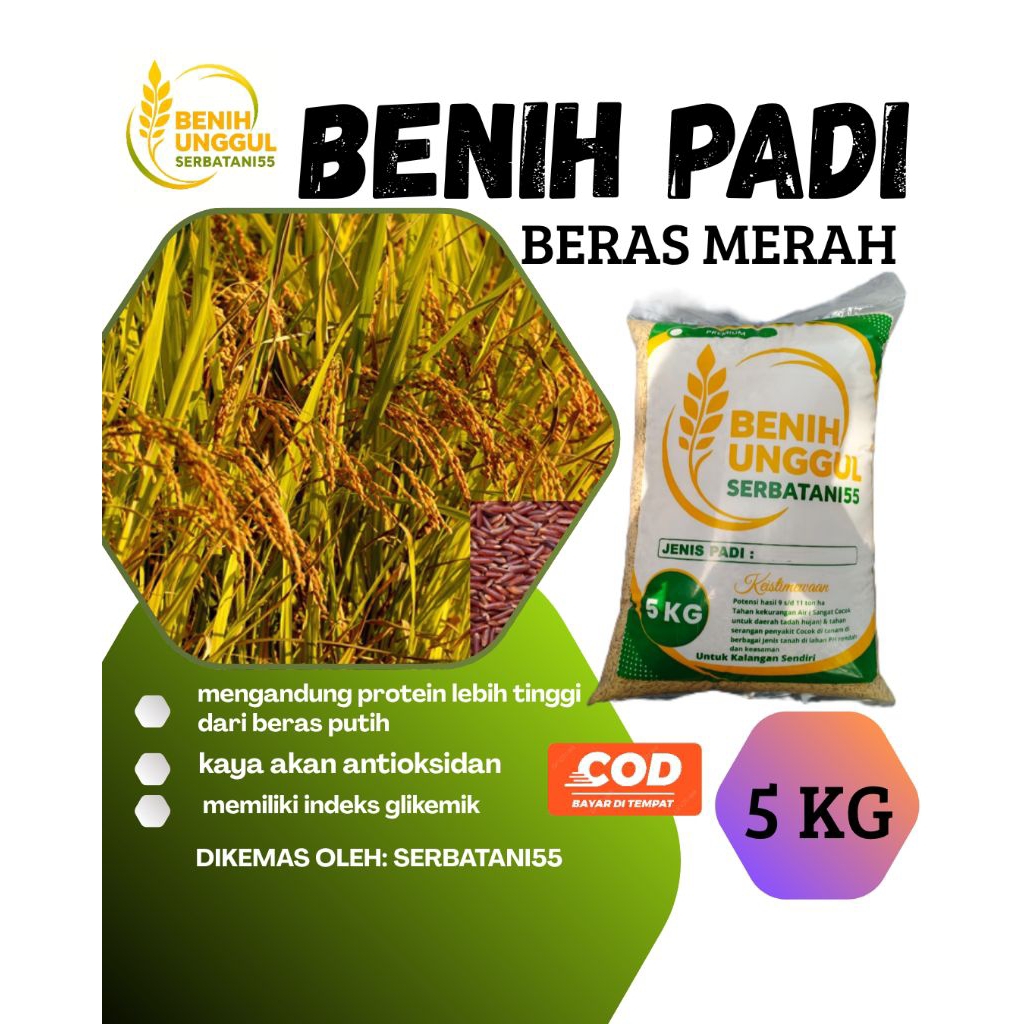 Benih padi bibit padi BERAS MERAH 5kg