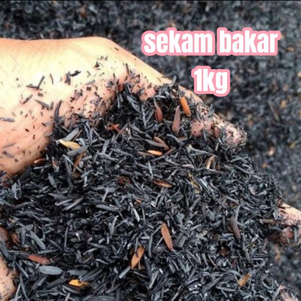 sekam bakar murni 1 kg kemasan