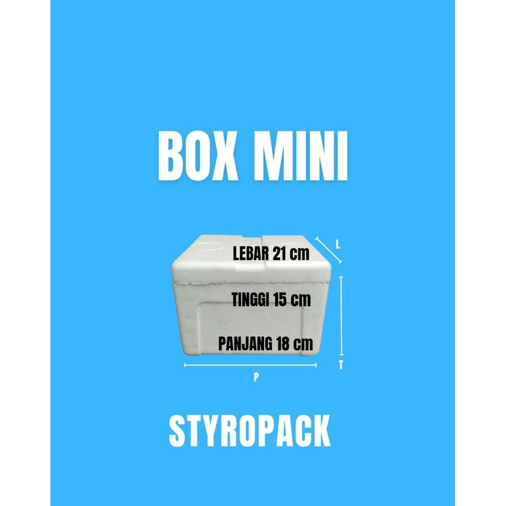 Styrofoam box 1 kg / Box Mini