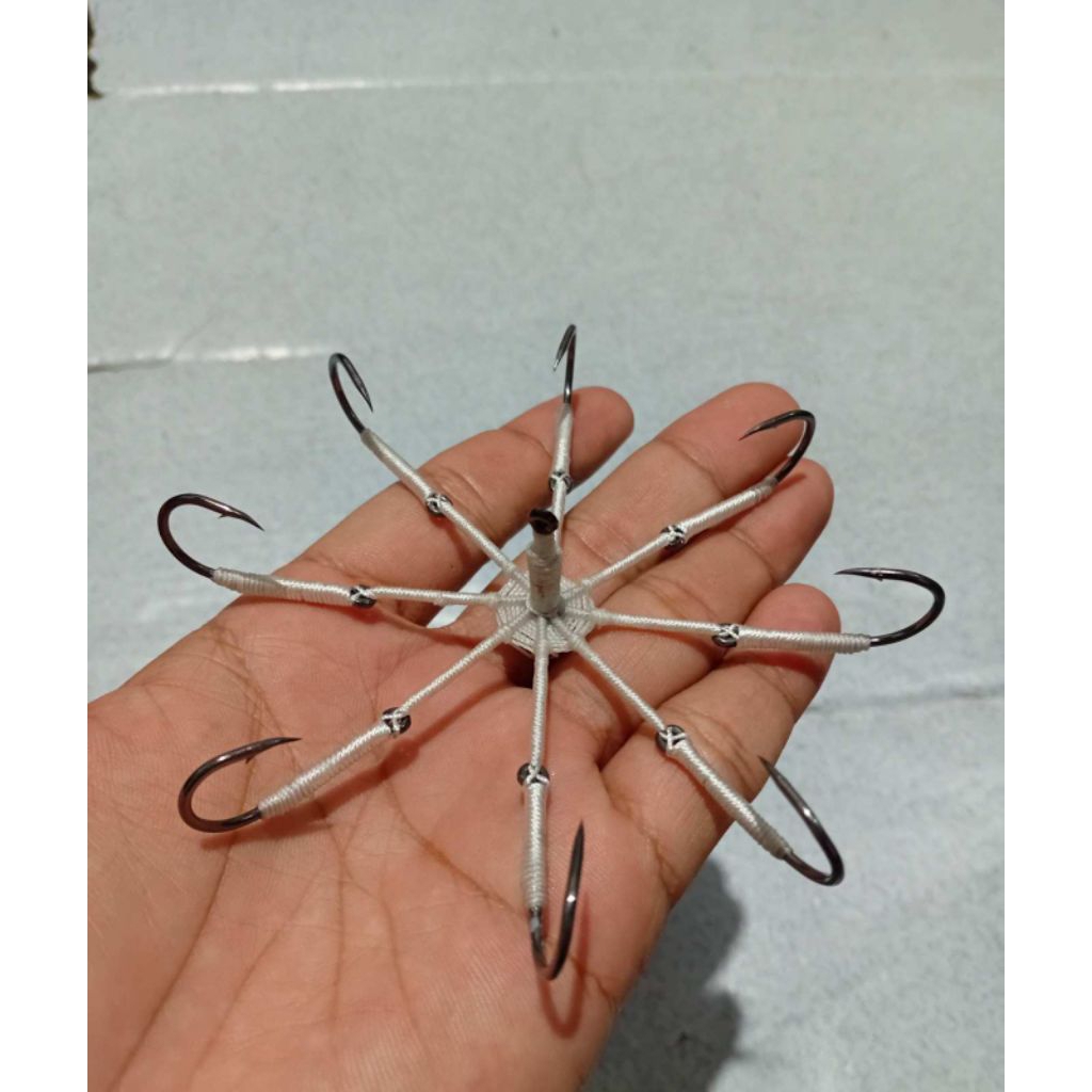 kail garong matahari 8 kail