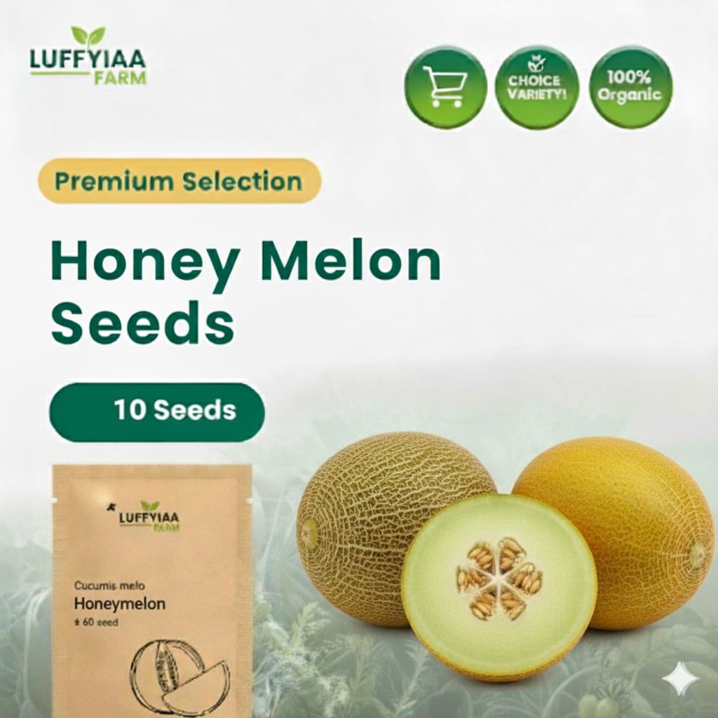 benih melon madu | bibit melon madu | cocok untuk dataran rendah | cepat tumbuh dan berbuah
