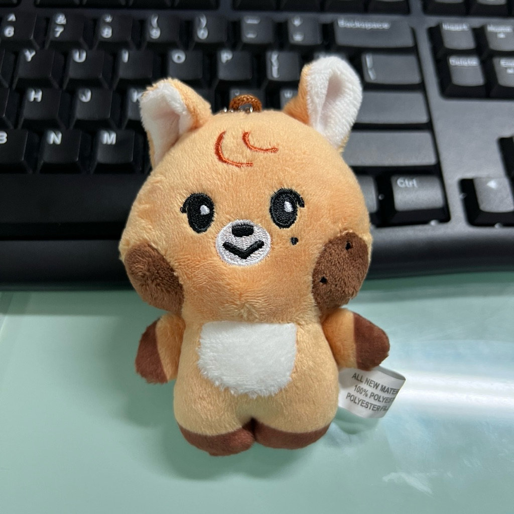 DOLL NCT DREAM | DREAMIEZ LINE KEYRING FANMADE | LINE FRIENDS