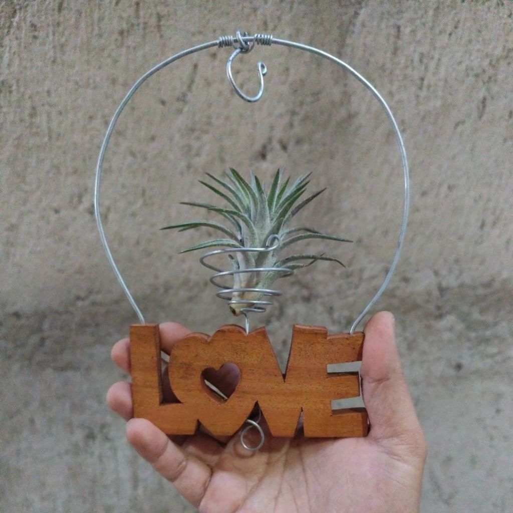 gantungan tanaman hias tillandsia bentuk kayu love kawat bulat
