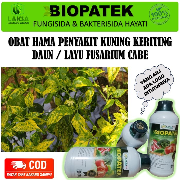 Biopatek Obat Hama Kriting Daun Cabe Paling ampuh - Biopatek Obat Hama Kriting Daun kuning Cabe - Bi
