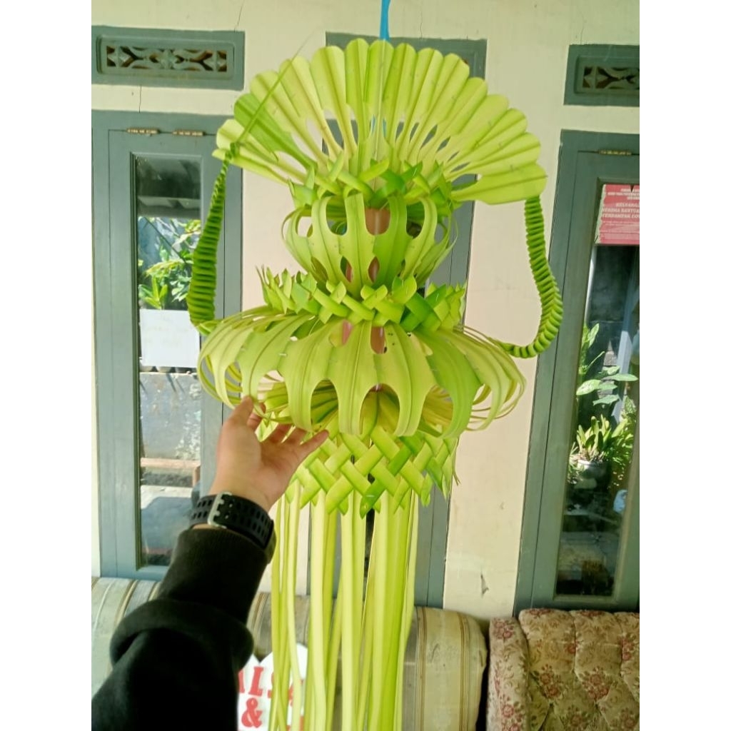 Janur kuning segar asli khitanan/ pernikahan CMHI BDG PDLRG