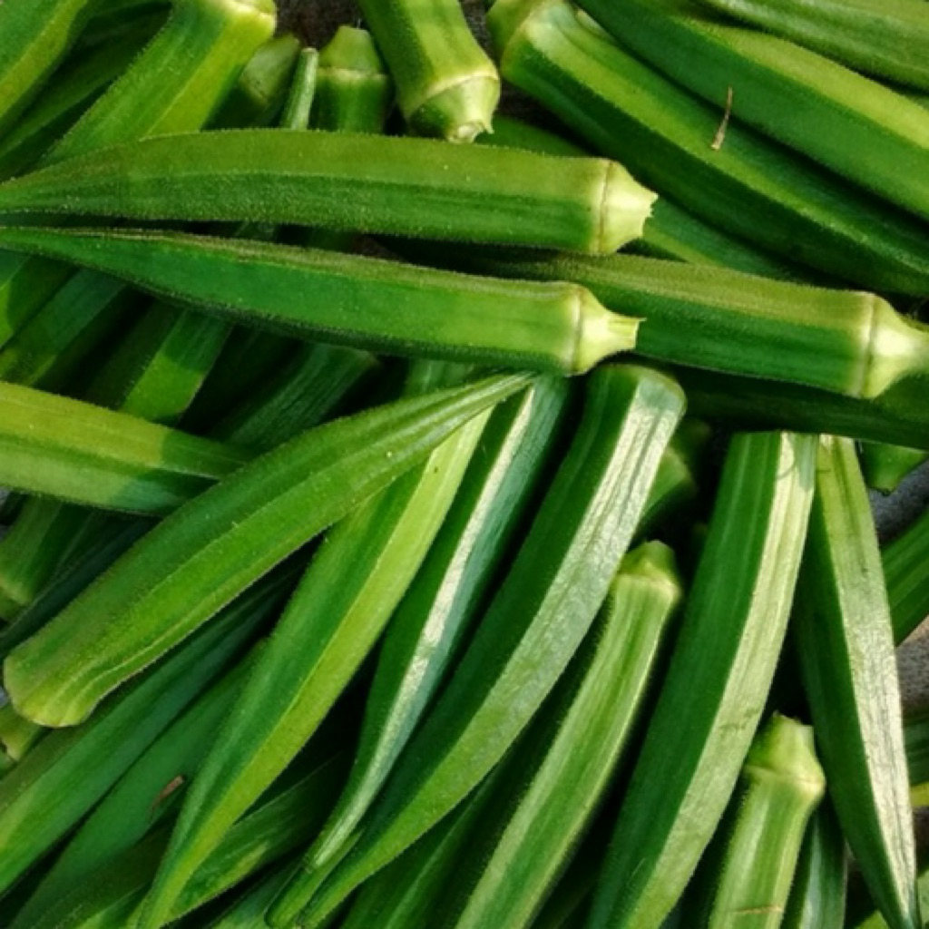 Okra hijau segar 1kg kaya serat