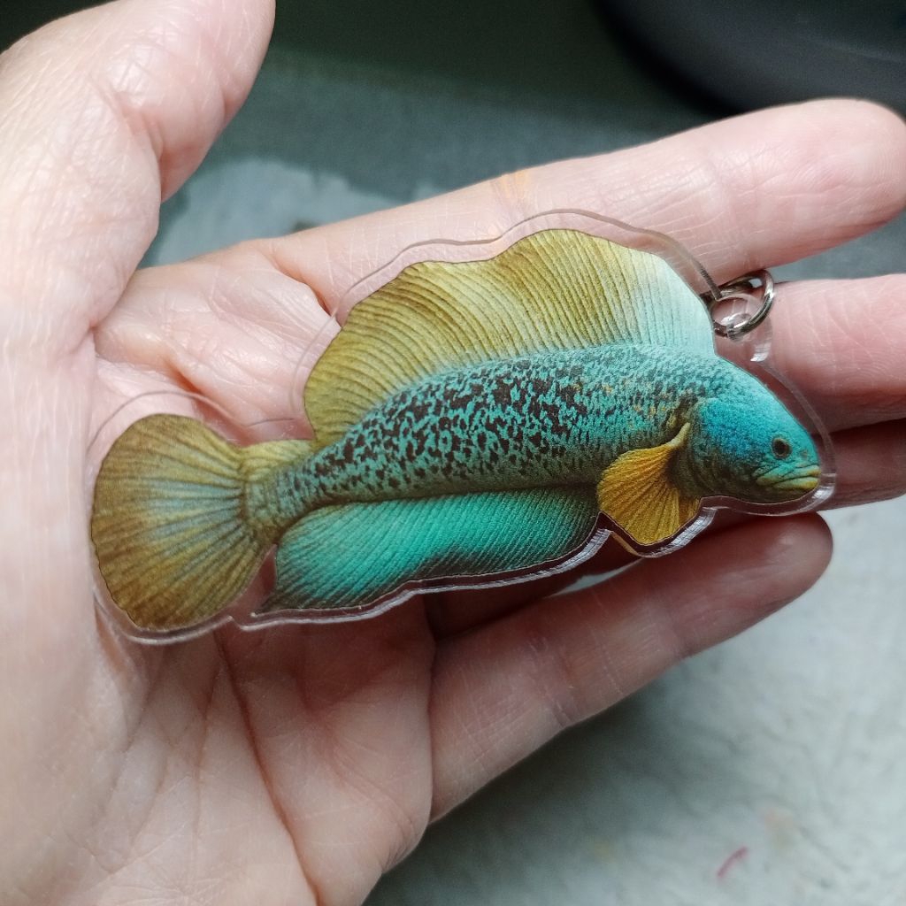ganci ikan CHANA BARCA fish keychain gantungan kunci ikan Chana