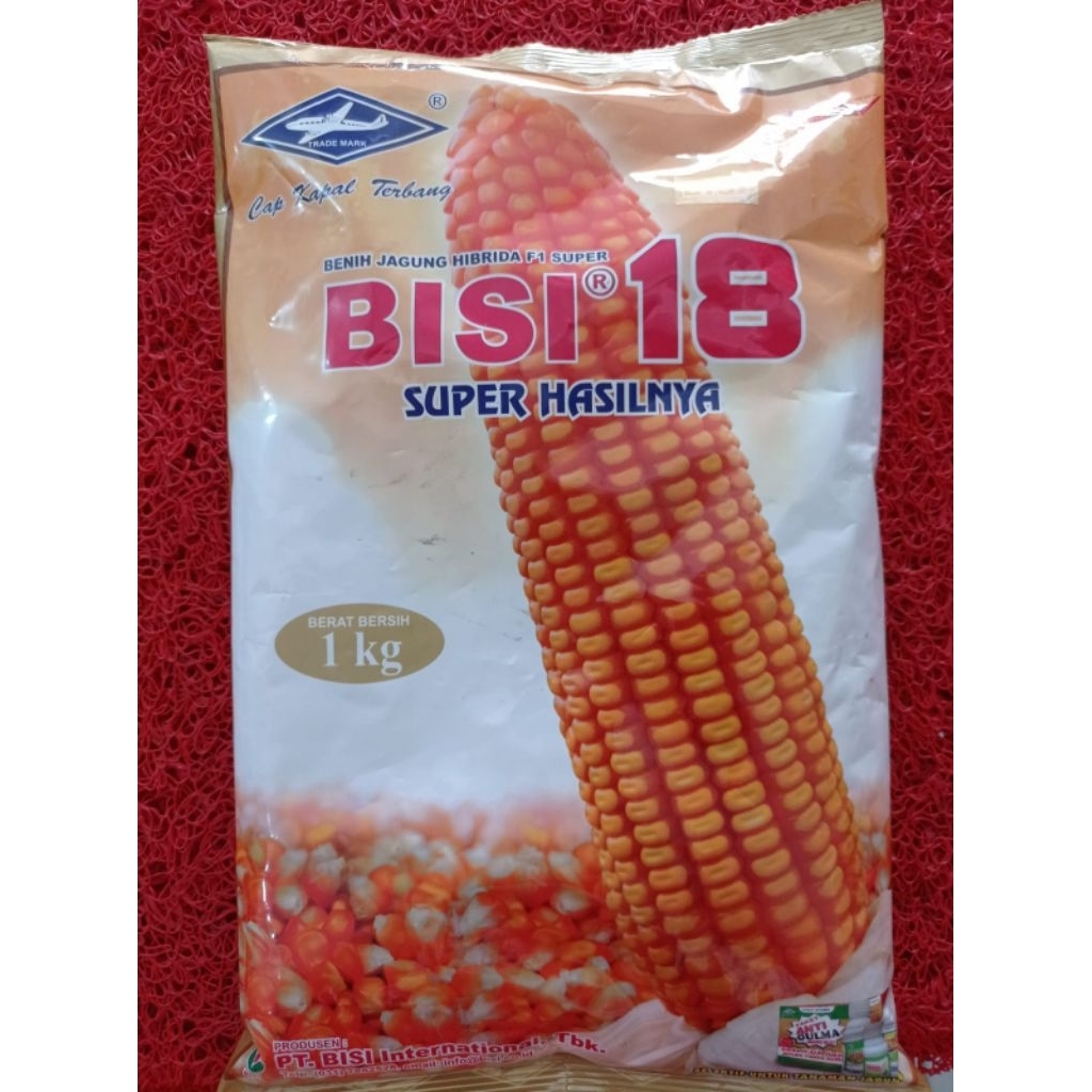 Benih jagung hibrida Bisi18