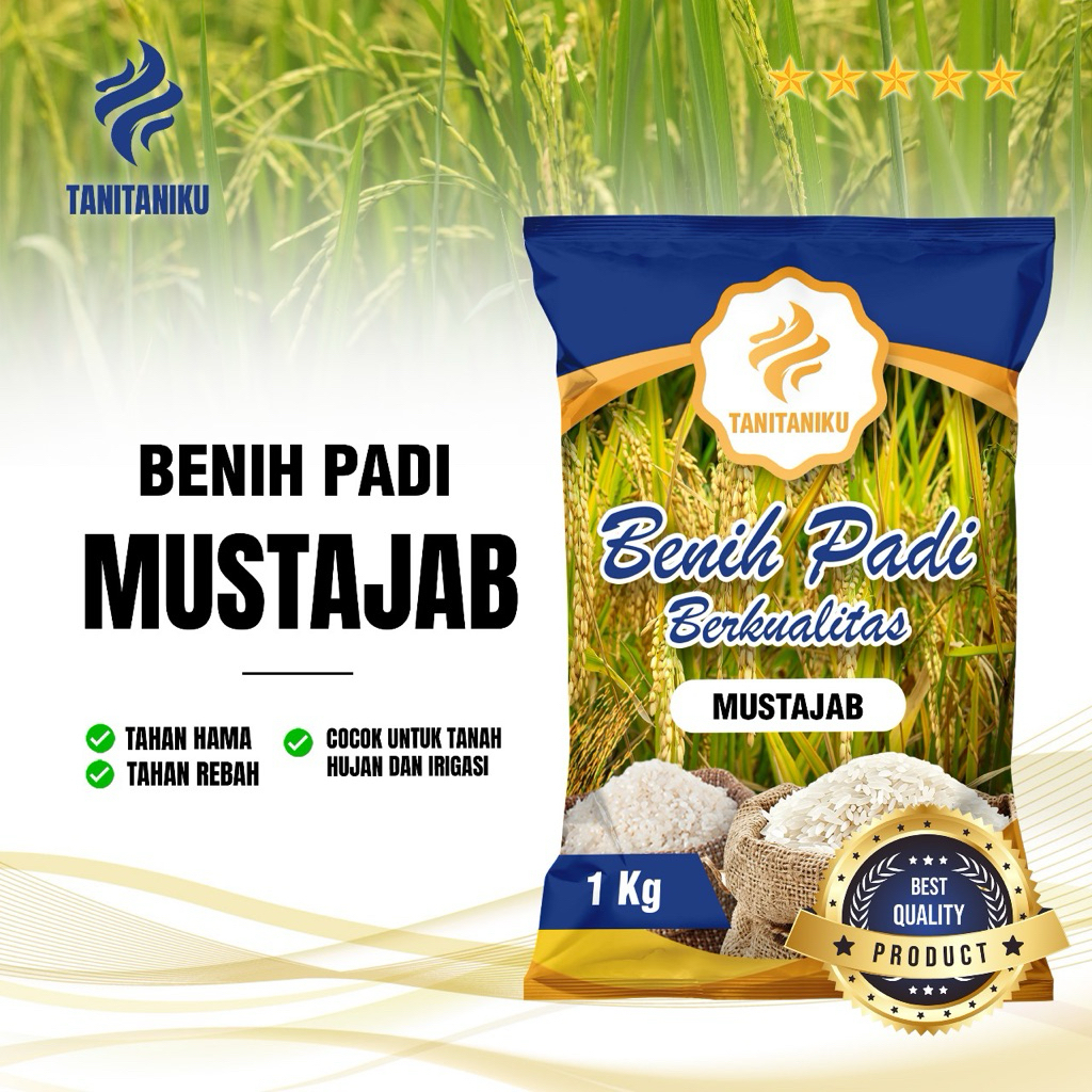 BENIH PADI  BIBIT PADI MUSTAJAB BERKUALITAS  PREMIUM KEMASAN  1KG
