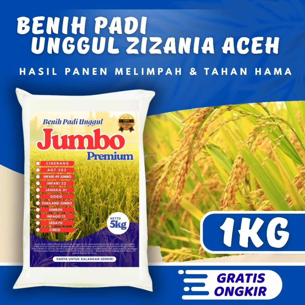 Benih Padi Unggul Zizania Aceh Original Kemasan 1kg