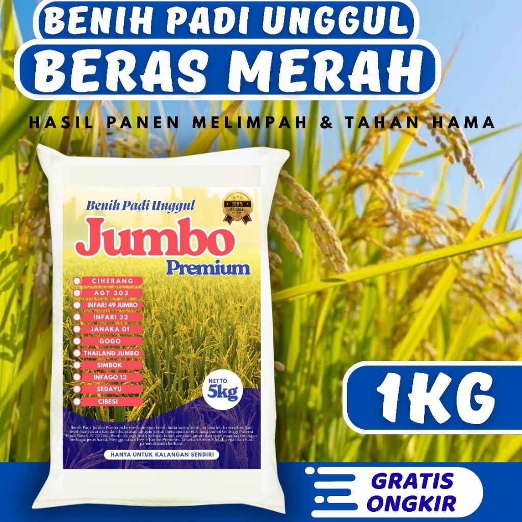 Bibit Padi Unggul Beras Merah Huma 1kg