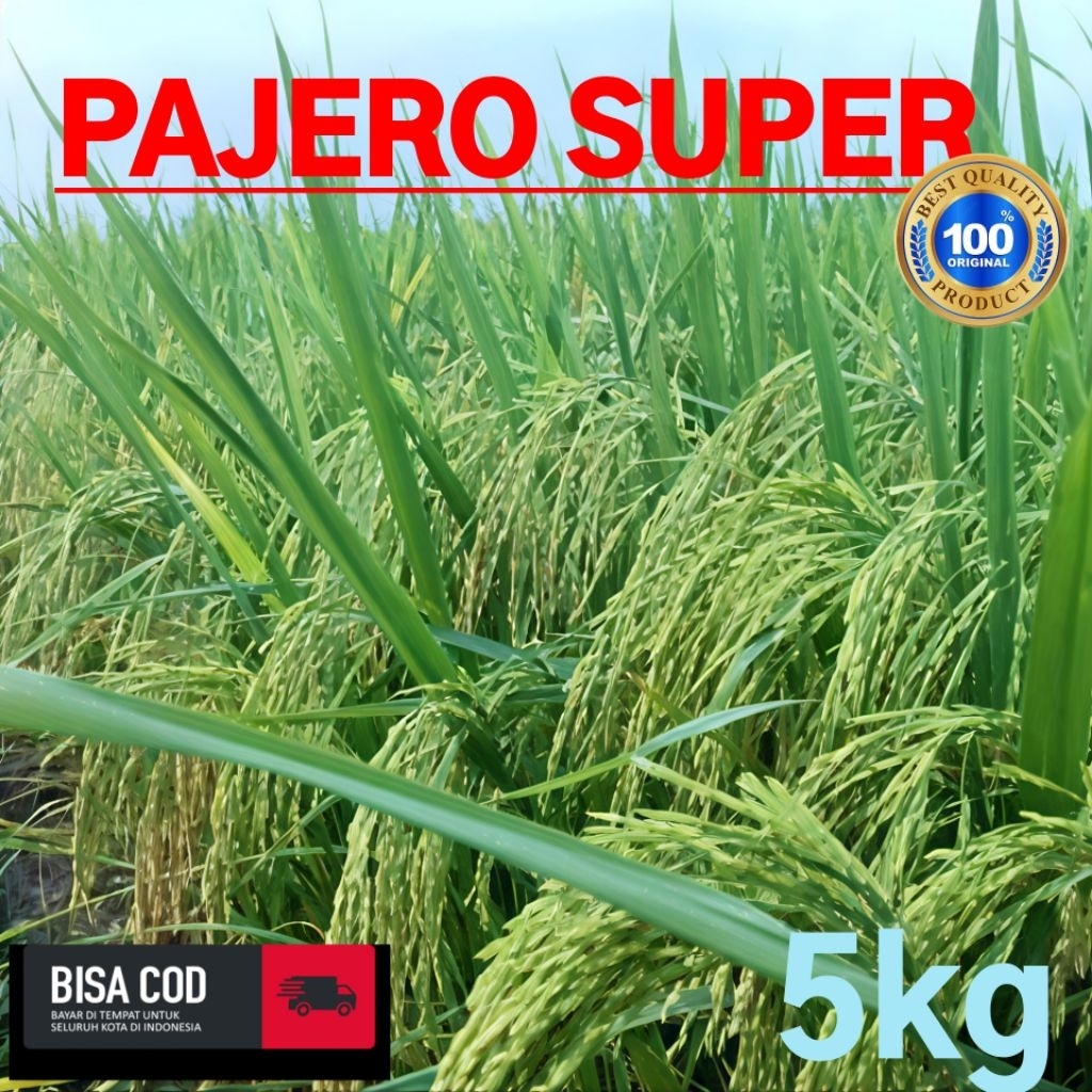 BIBIT BENIH PADI CIHERANG PAJERO  SUPER BERKUALITAS UNGGUL KEMASAN 5 KG