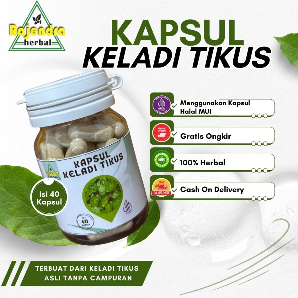 KAPSUL KELADI TIKUS