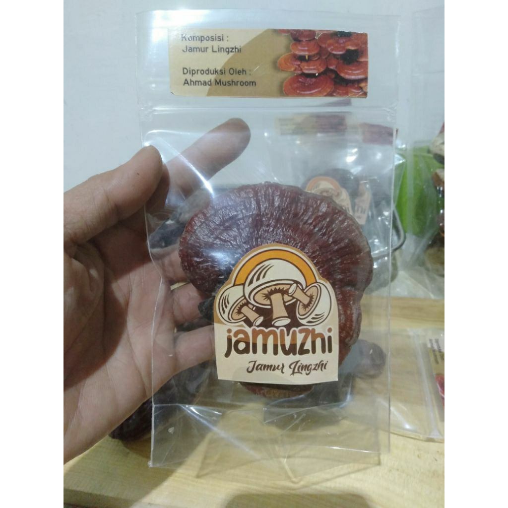 jamur Lingzhi, Ganoderma, jamur herbal, jamur kering, jamur utuh