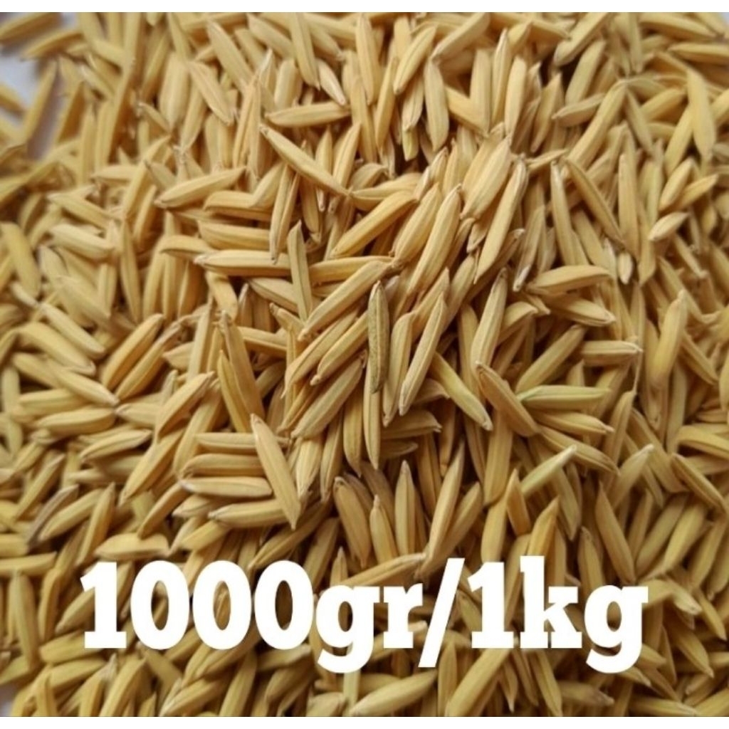 benih bibit padi baroma,kemasan 1 kg.