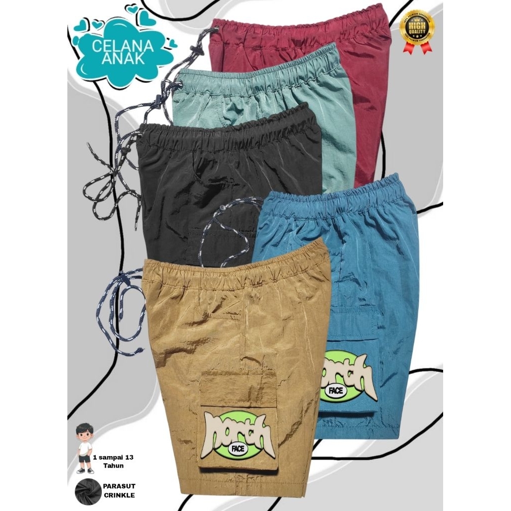 Celana Pendek Anak Motif Sablon The North Face Bahan Parasut Crinkle Umur 1 -13 Tahun