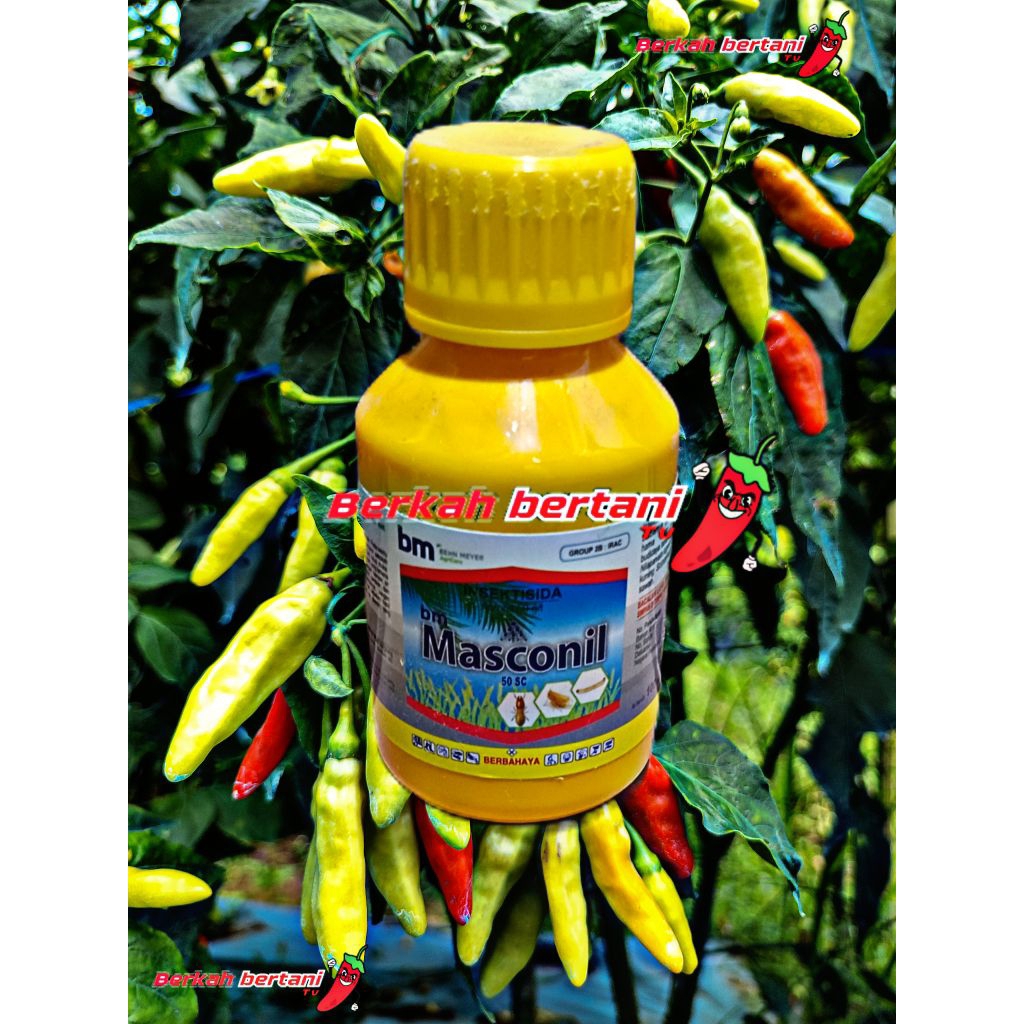 BM masconil 50SC  100ml pembasmi hama pengerat dalam tanah