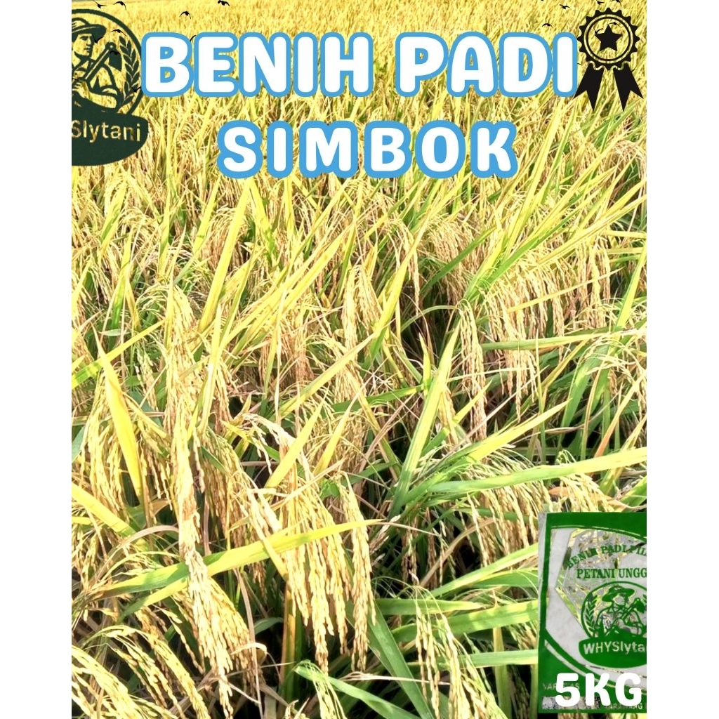 Benih Padi Simbok 5Kg – Varietas Unggul, Tahan Hama & Hasil Panen Melimpah