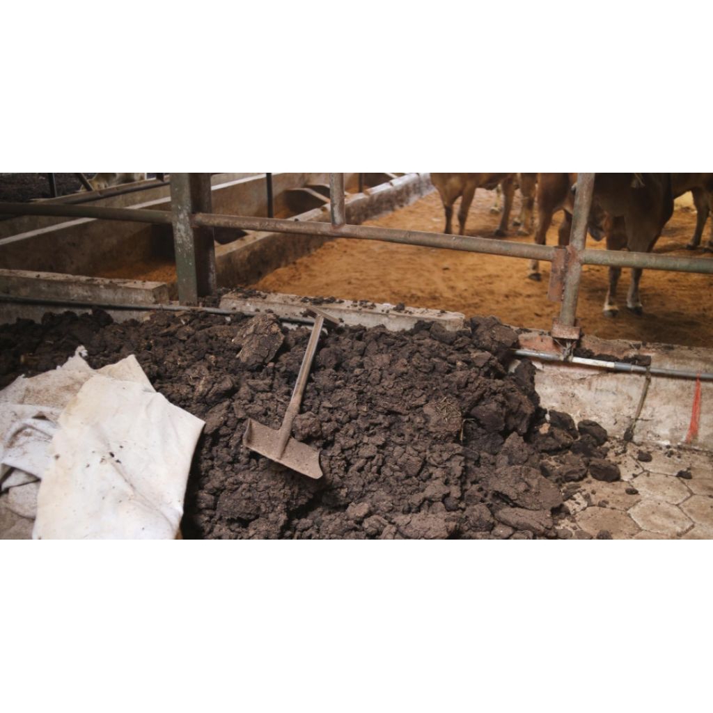 Kohe sapi kering 5kg