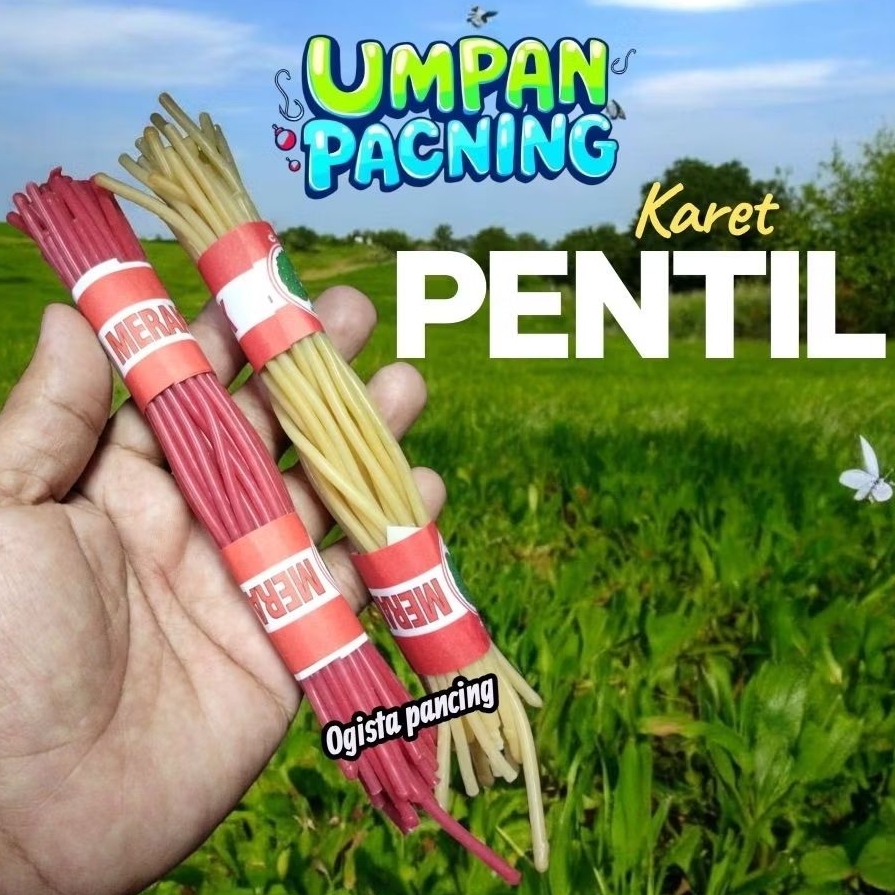 KARET PENTIL UNTUK UMPAN PANCING /KARET KETAPEL/UMPAN SABIKI/RINTAK/KOTREKAN/UMPAN PANCING