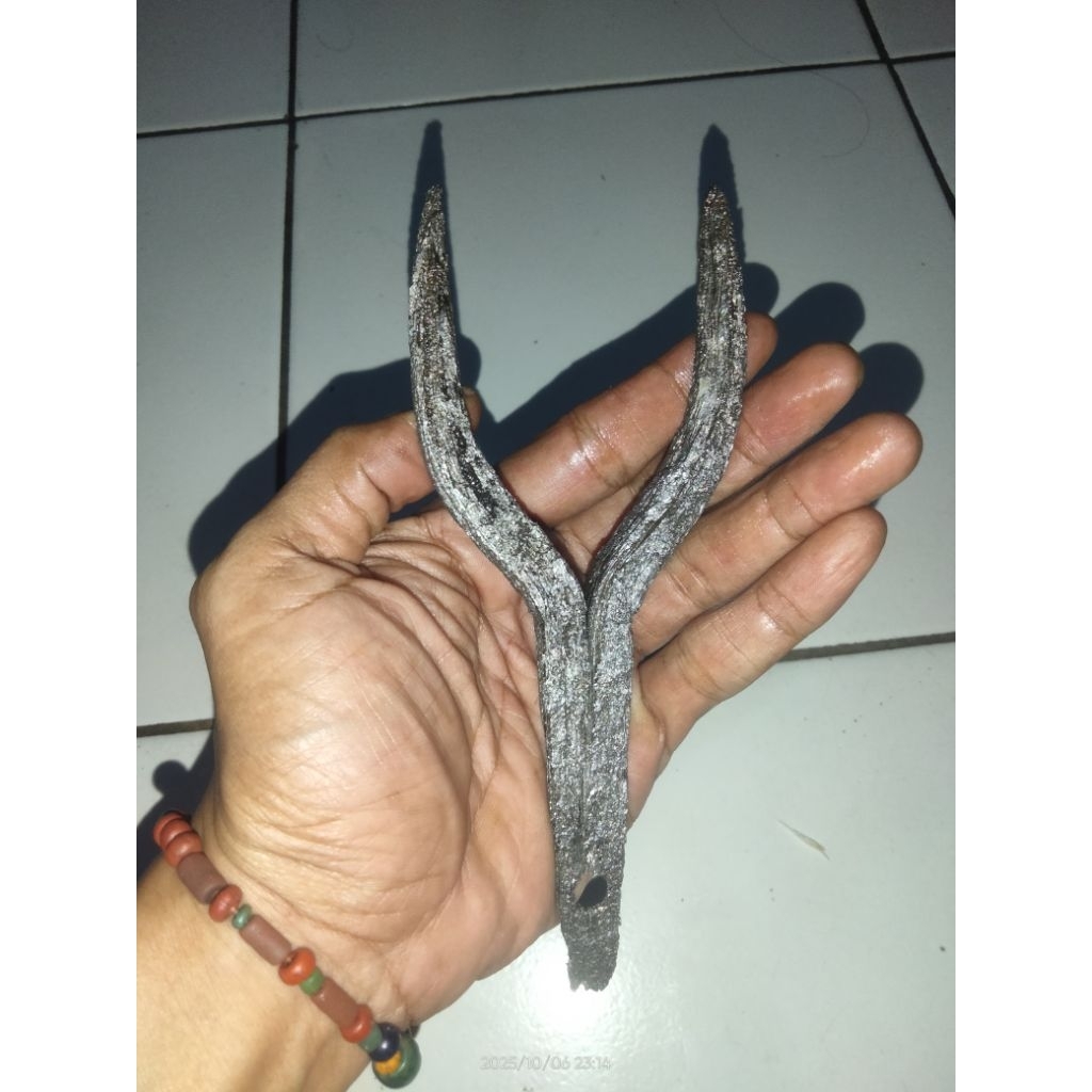 Pusaka Sepuh Tindih DwiSulaKabudhan Temuan Sungai Langka Murah K83