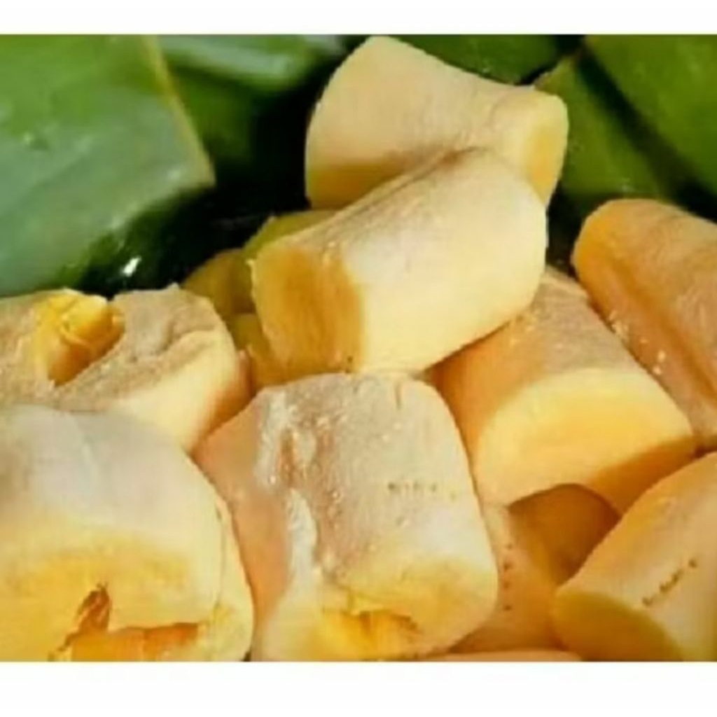 TAPE SINGKONG MENTEGA ASLI KEDIRI manis dan legit