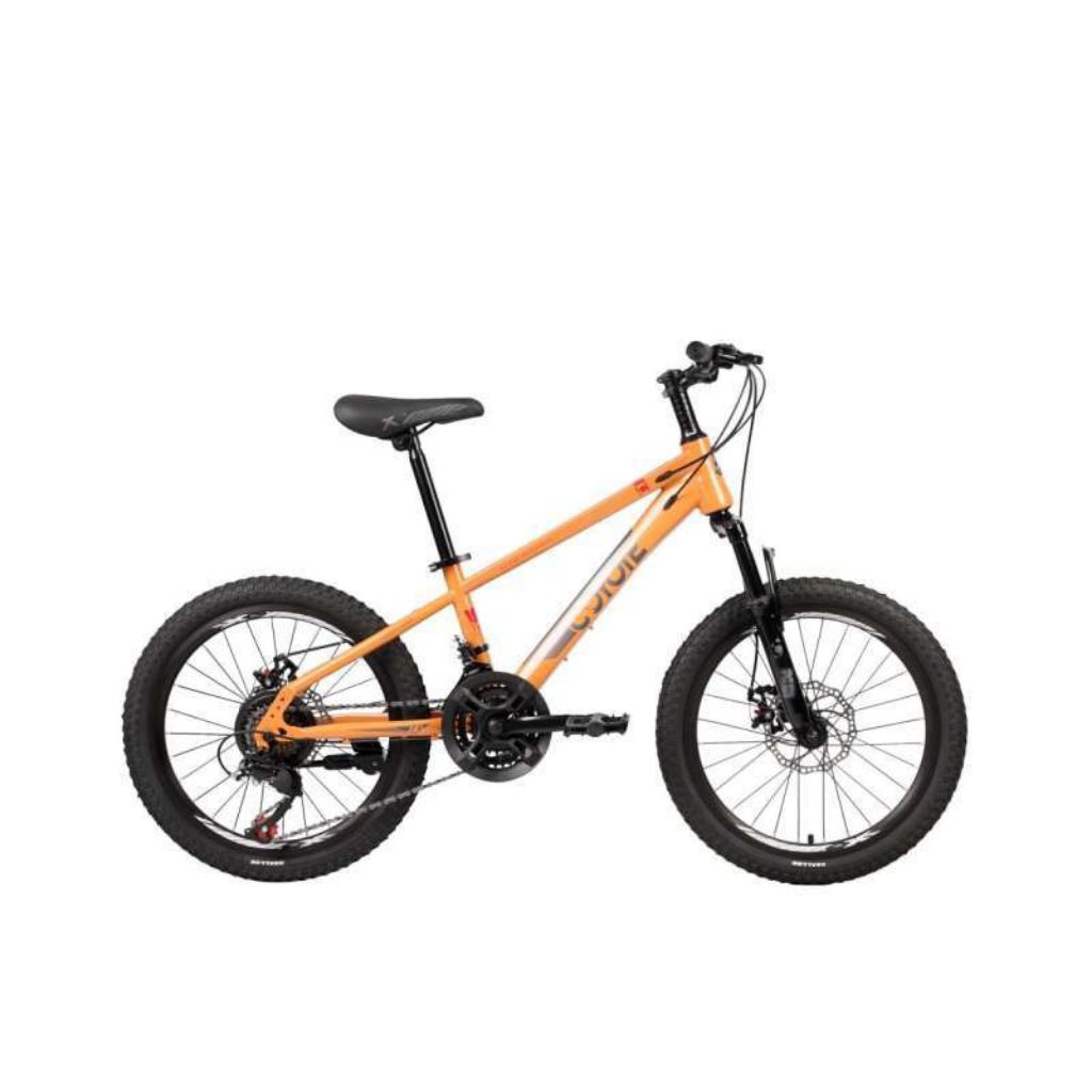 Sepeda Gunung Anak MTB Element Coyote 20 Inch