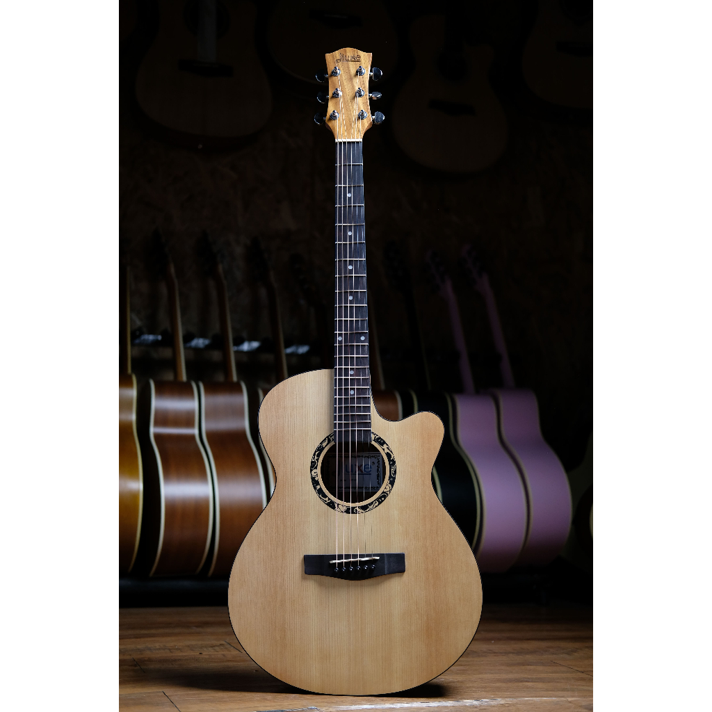 GITAR AKUSTIK/AKUSTIK ELEKTRIK ORIGINAL PABRIK DLUXE DF100