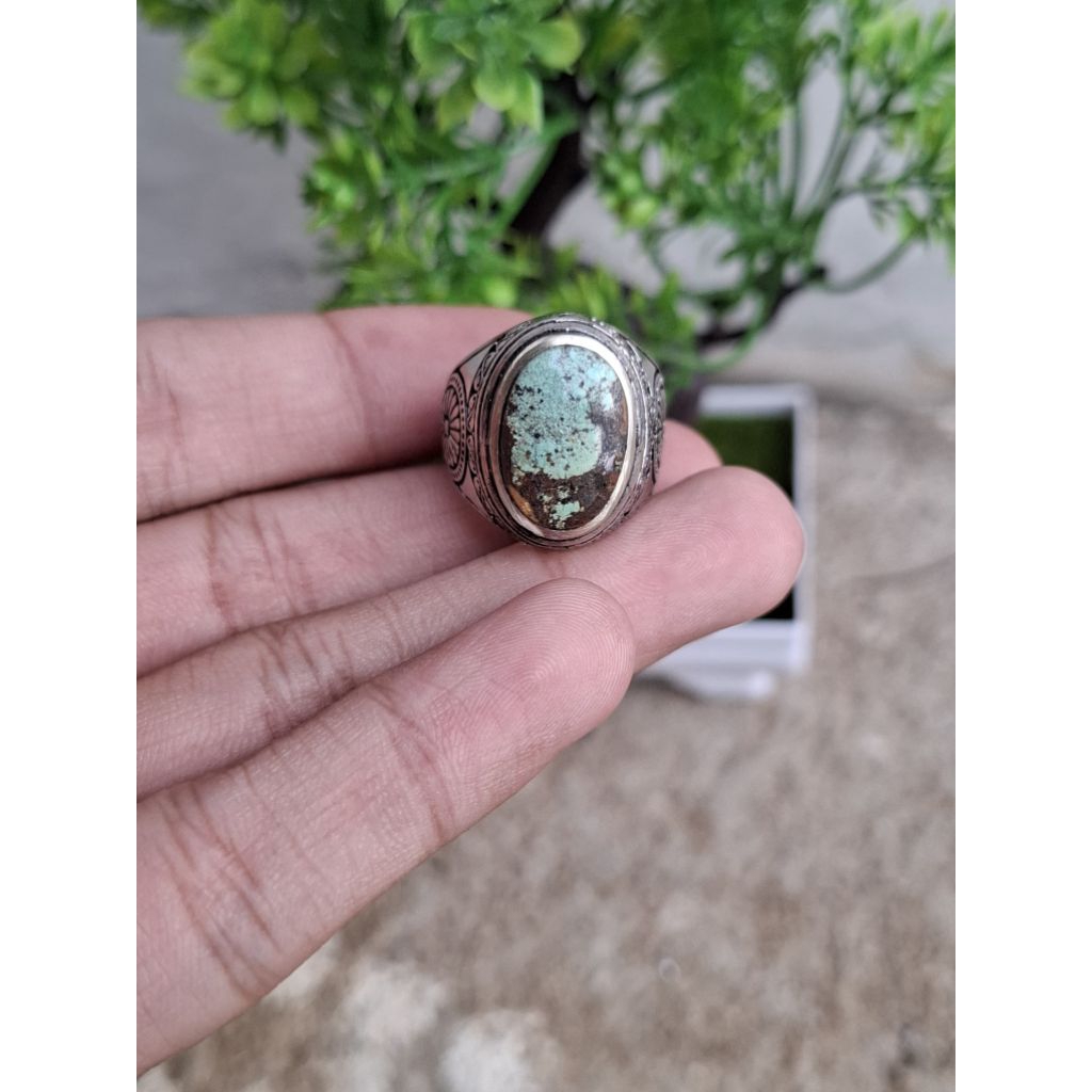 Natural Pirus Persia Hijau Lawas