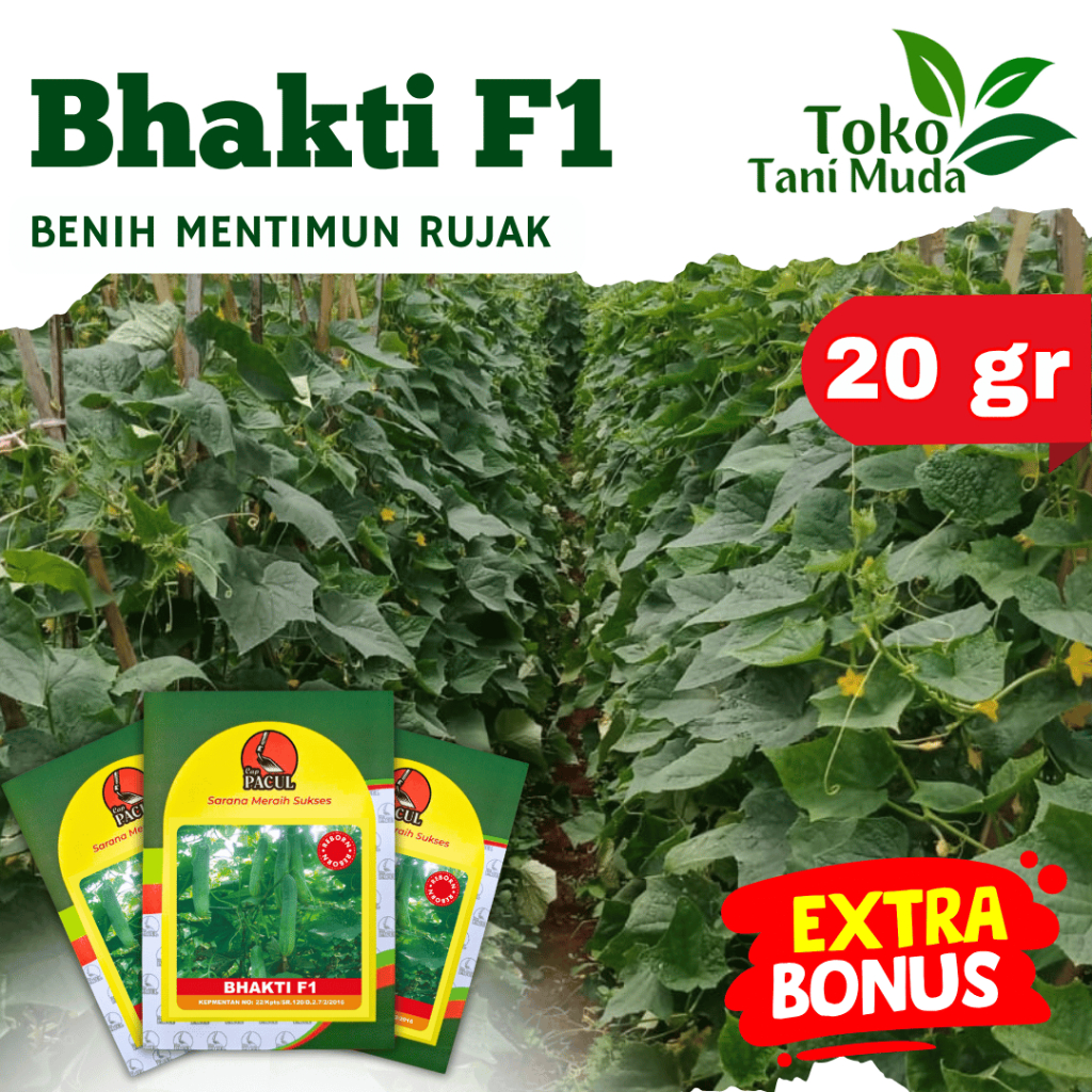 PROMO BENIH TIMUN BHAKTI F1 CAP KUJANG 20gr