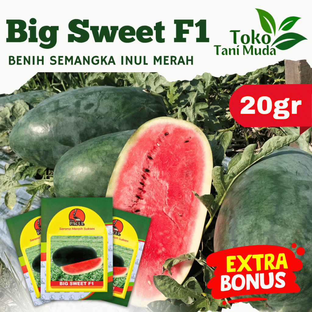 BENIH SEMANGKA INUL MERAH BIG SWEET F1 20gr
