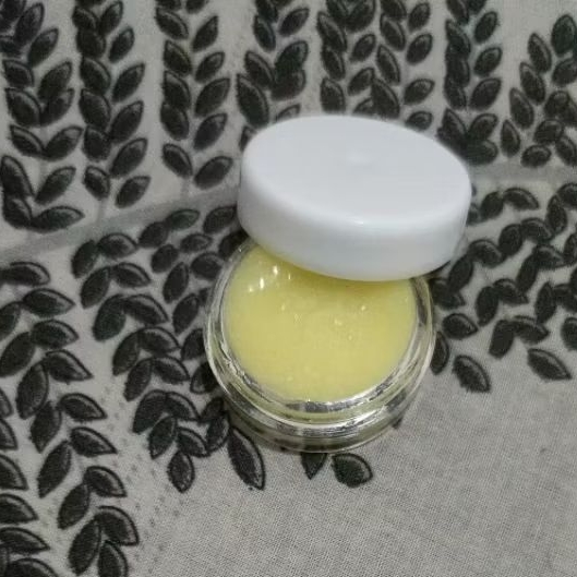 SALEP JAMUR SCABIES KUCING AMPUH