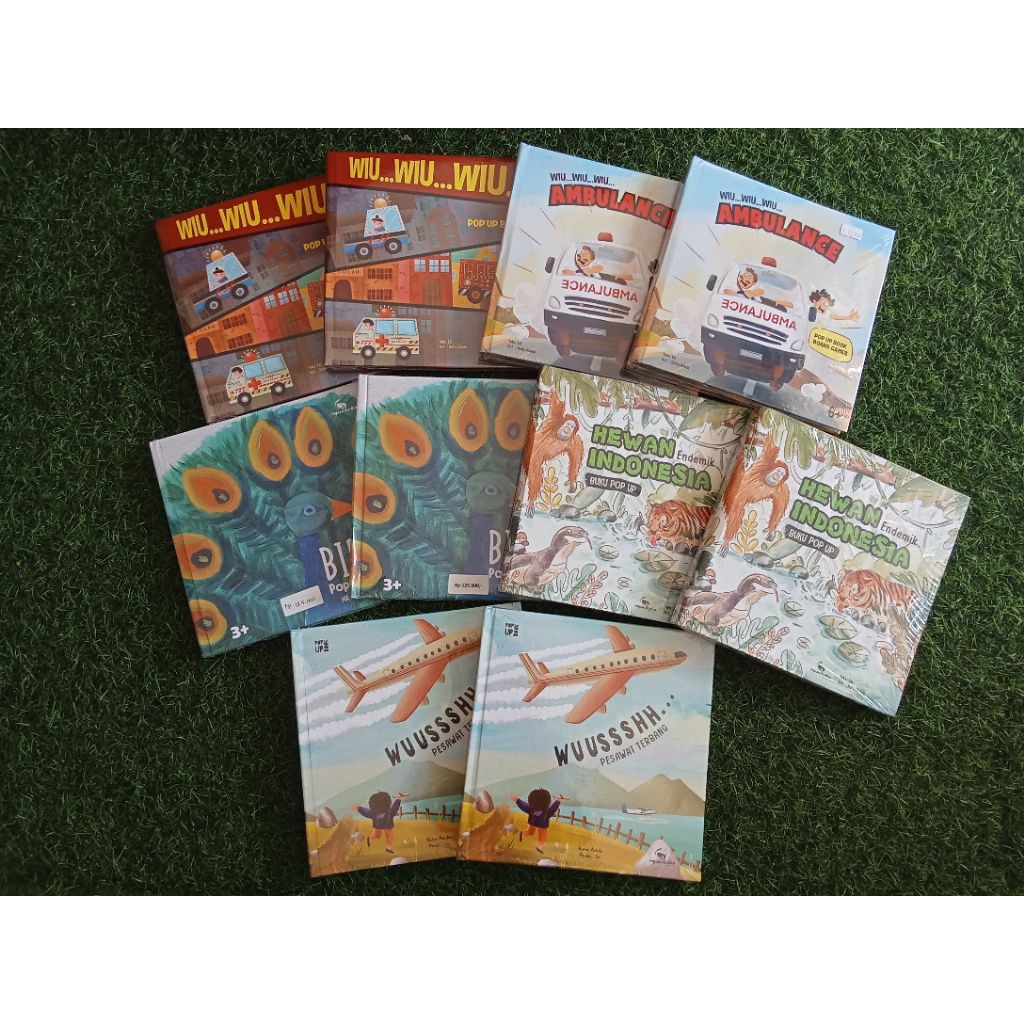 POP UP BOOK UNTUK ANAK