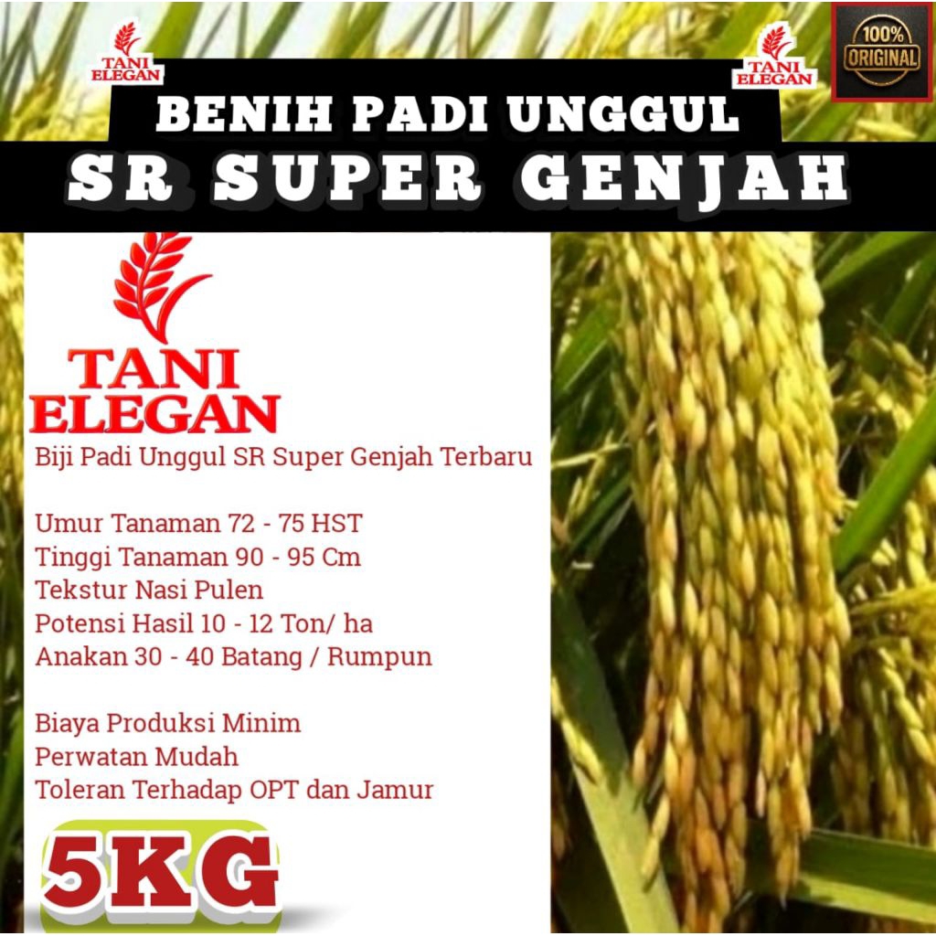 BENIH PADI SR SUPER GENJAH KEMASAN 5KG