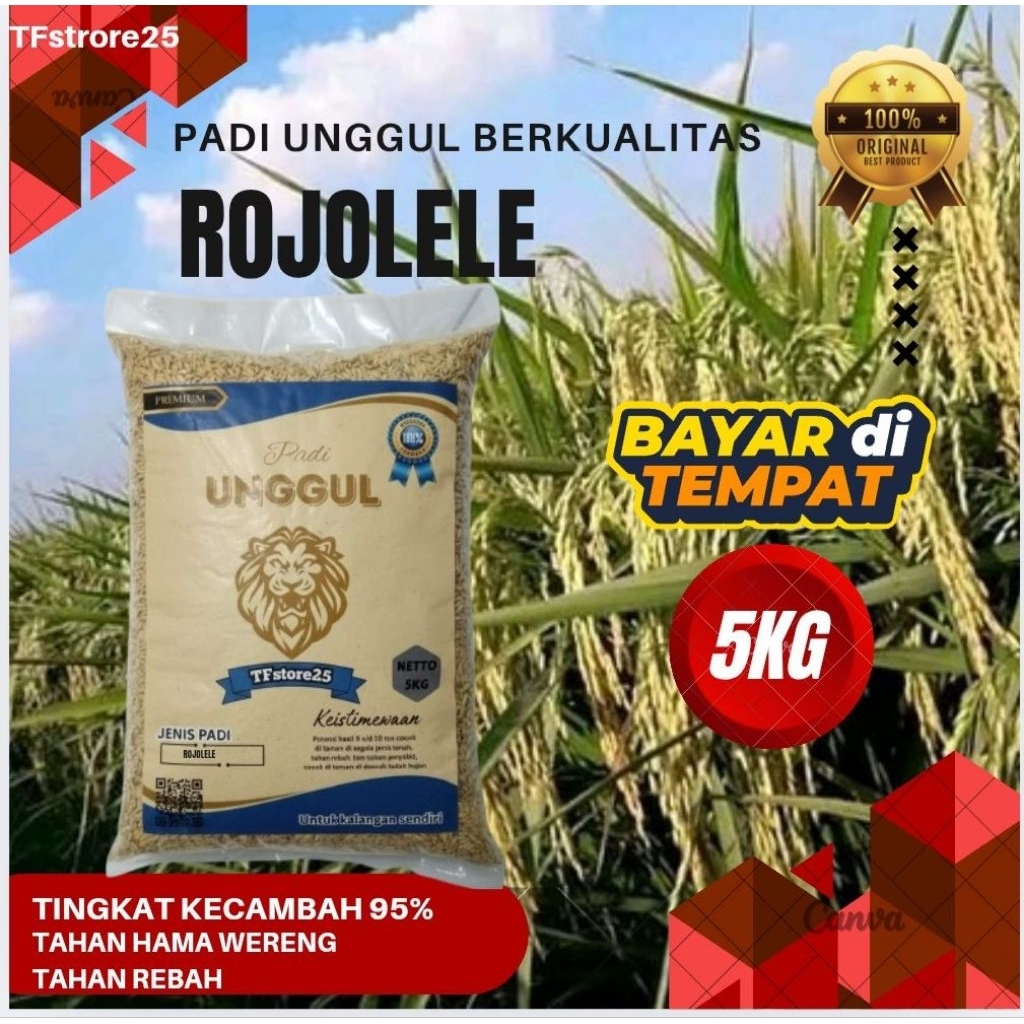BIBIT PADI UNGGUL ROJOLELE KEMASAN 5 KG 100%ASLI