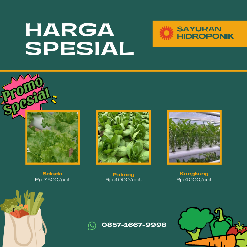 sayur hidroponik